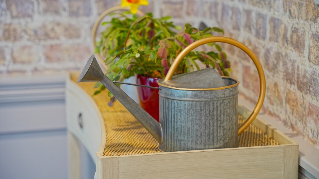 Photography of watering can in care home